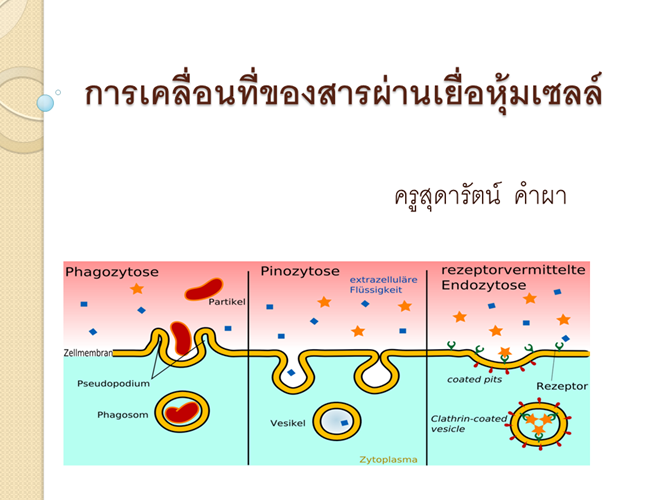 ppt transport.png